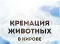 Ритуальные услуги для животных в Кирове.